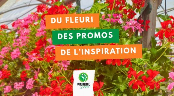 de l'inspi, des promos, du fleuri