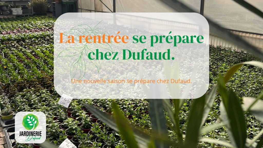 La rentrée se prépare à la Jardinerie Dufaud
